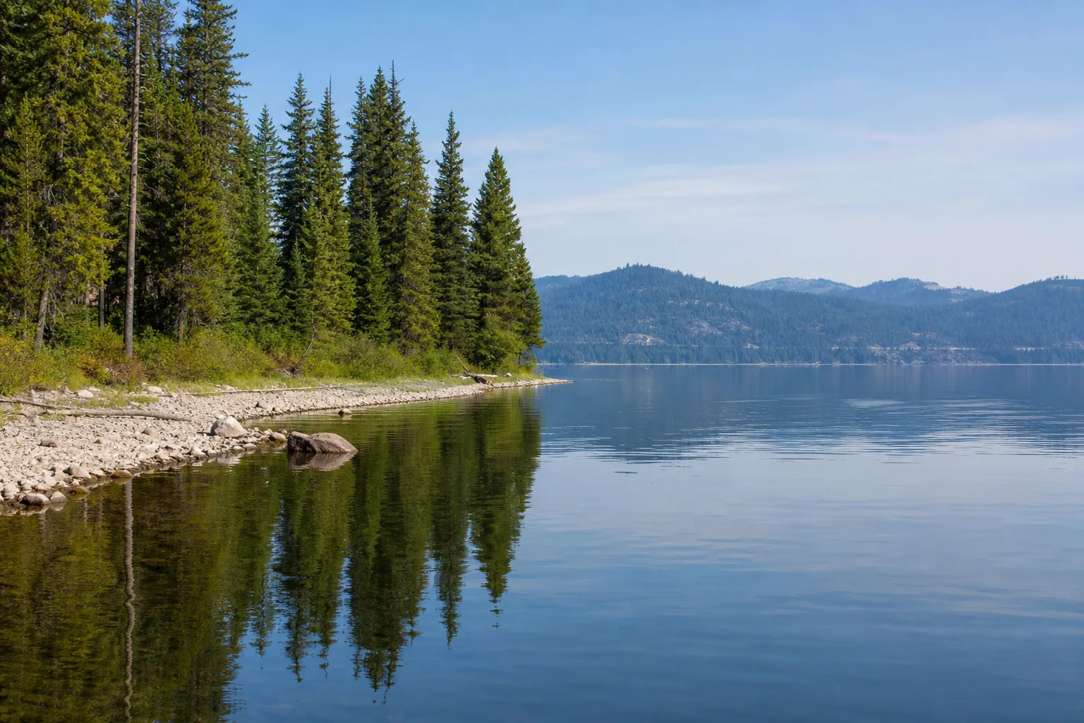 Calm Spirit Lake shoreline with pine trees and clear North Idaho water on a bright summer morning