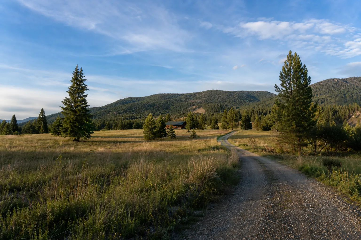 Rural Bonner County acreage with meadow, pines, and a distant cabin under a wide North Idaho sky